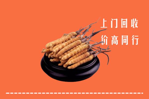附近收购：永福县冬虫夏草回收多少钱每克