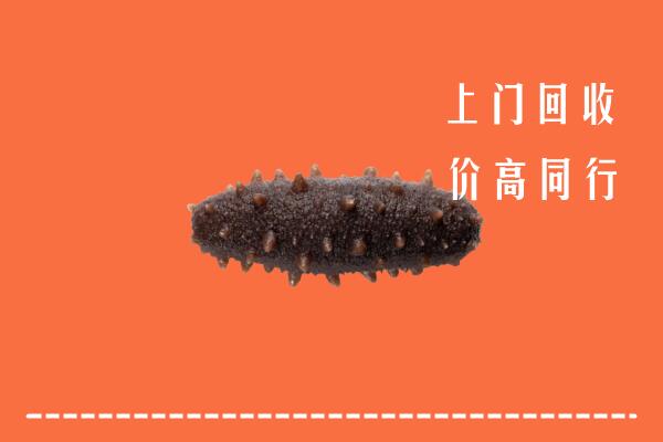 永福县回收海参