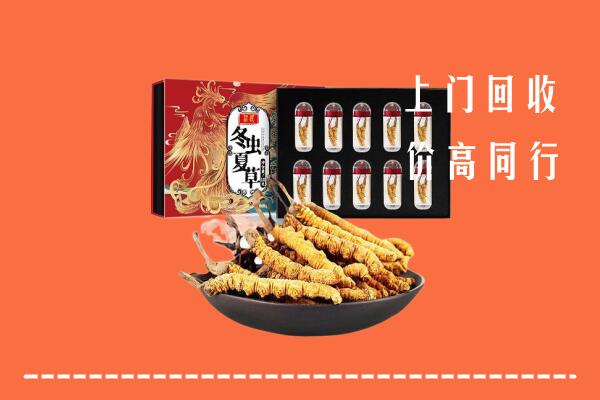 附近收购：永福县回收虫草